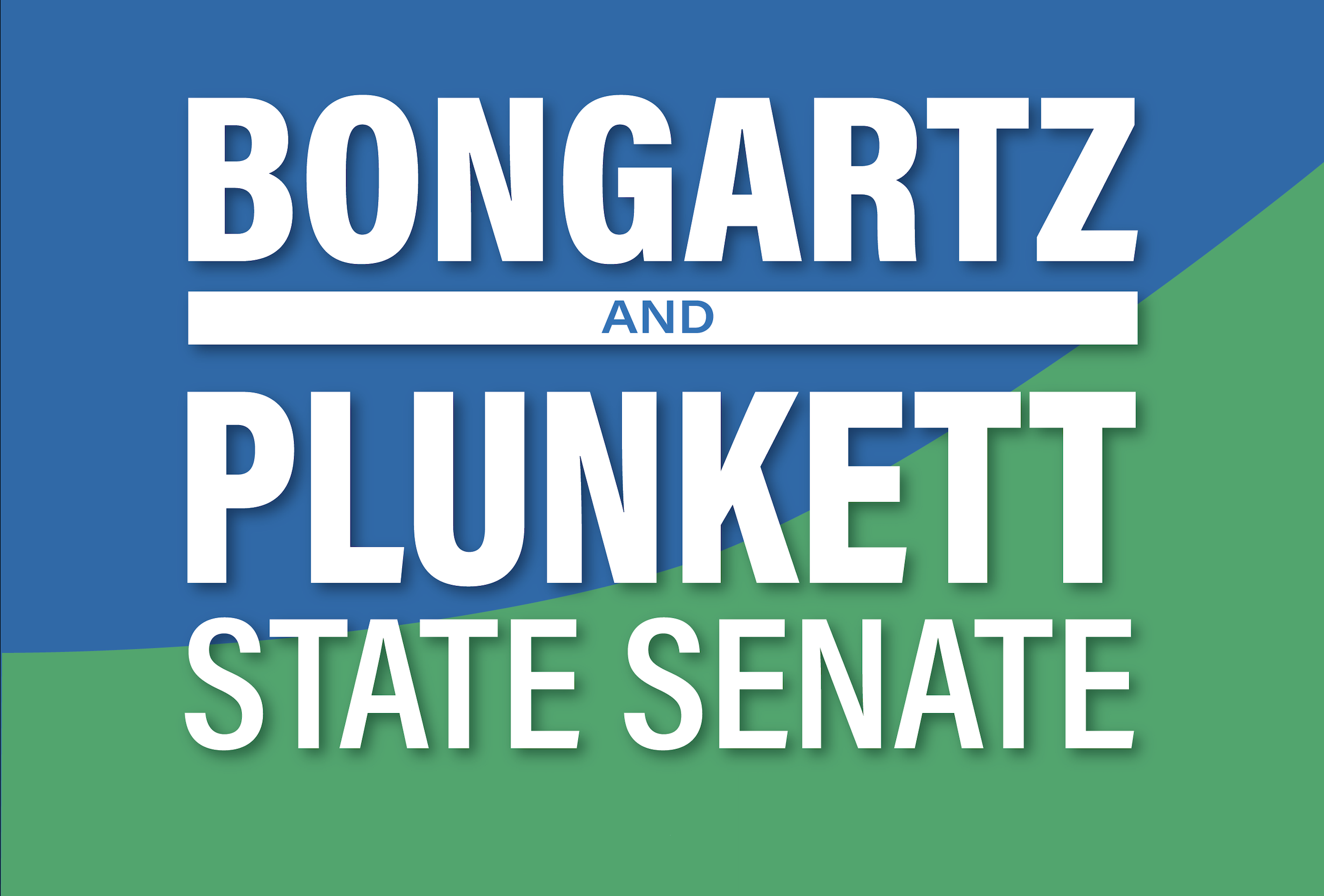 Bongartz and Plunkett for State Senate
